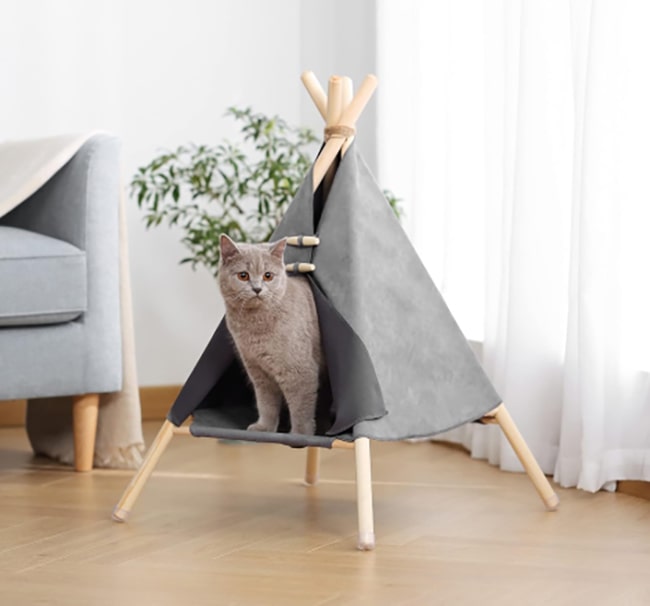 TechGuyHK 82 hotspot-carusel-cat-tent-opt-opt