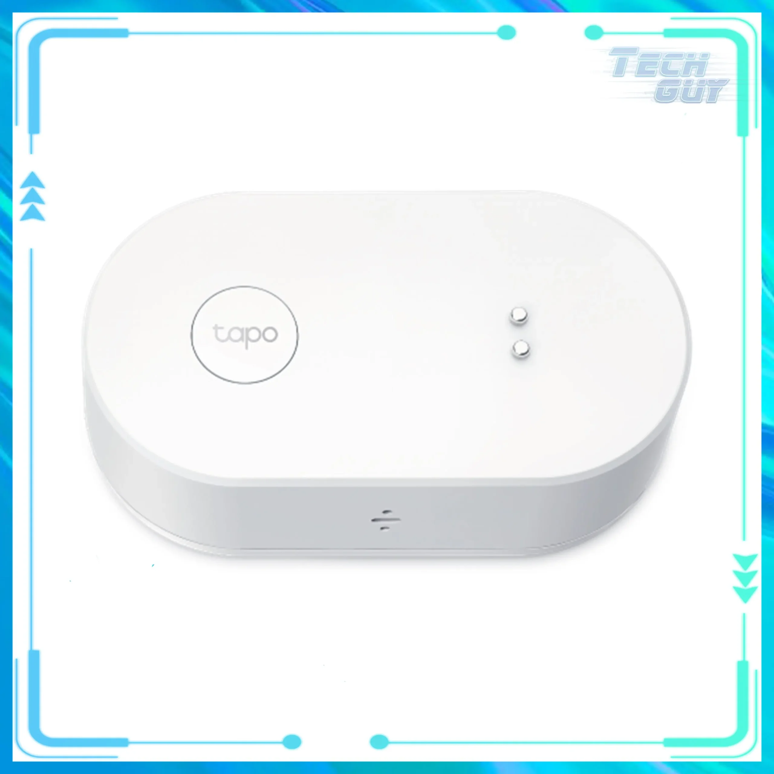 TP-Link Tapo T300
