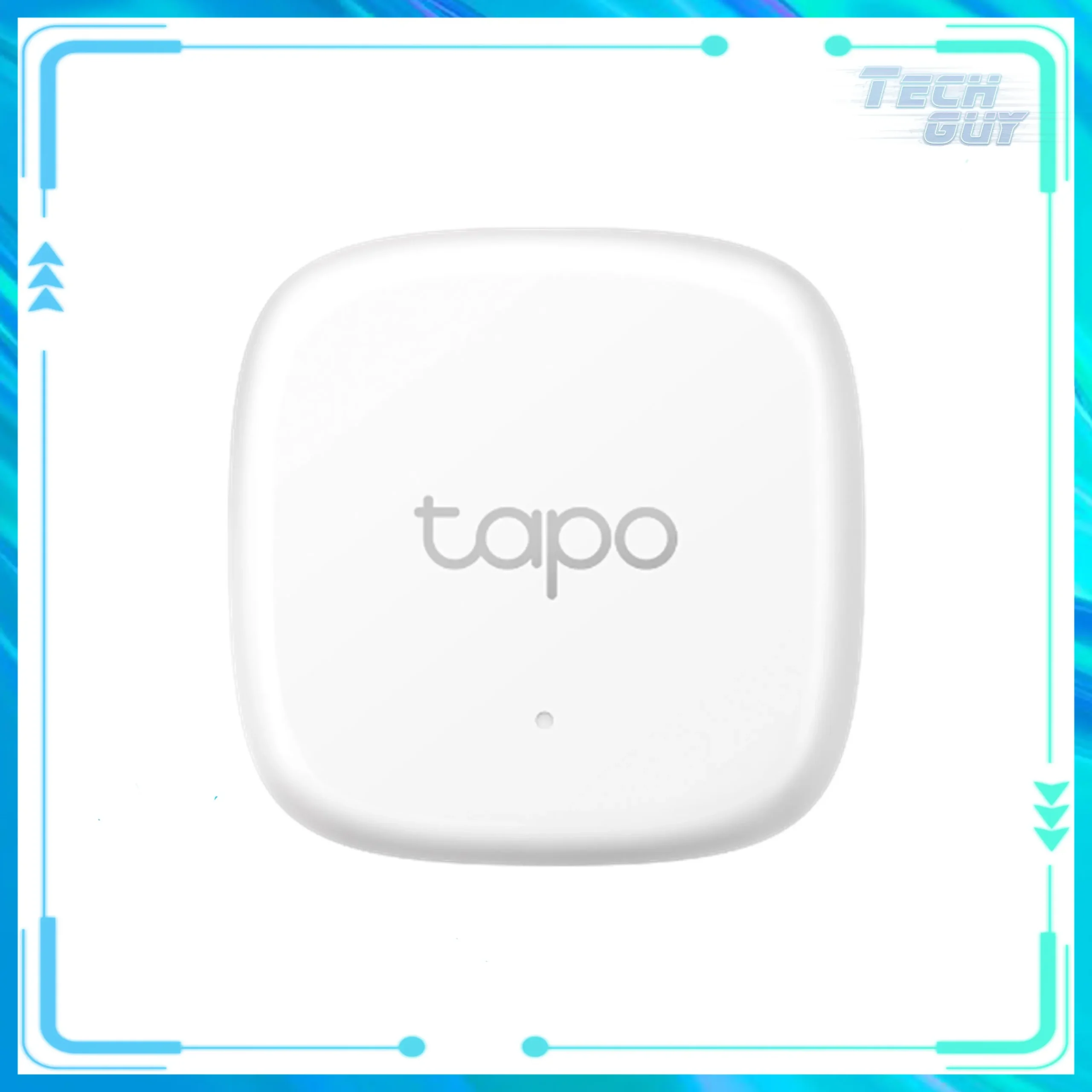 TP-Link Tapo T310