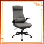 Cougar Stryder 人體工學電競椅：圖片 2