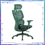 Zenox Ergonomic - Shiho Office Chair 辦公電腦椅 (Mesh/Green)：圖片 3