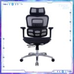 Zenox Ergonomic - Ten-E Office Chair 辦公電腦椅 (Mesh/Black)：圖片 2