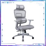 Zenox Ergonomic - Ten-E Office Chair 辦公電腦椅 (Mesh/Grey)
