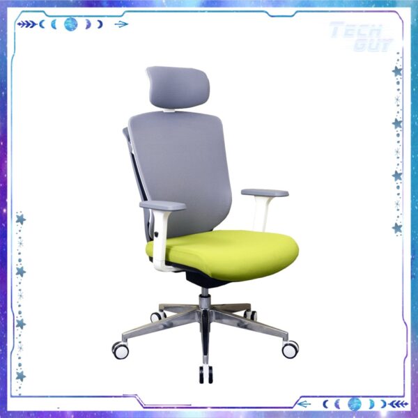 Zenox Ergonomic - Zagen Office Chair 辦公電腦椅 (Mesh & FoamGreen)