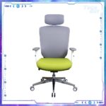 Zenox Ergonomic - Zagen Office Chair 辦公電腦椅 (Mesh & Foam/Green)：圖片 2
