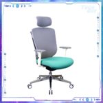 Zenox Ergonomic - Zagen Office Chair 辦公電腦椅 (Mesh & Foam/Sky Blue)
